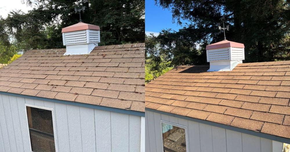 Shed roof cleaning